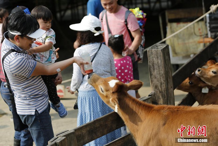 ?? ?? ??? ??? ??, ????? ‘????’