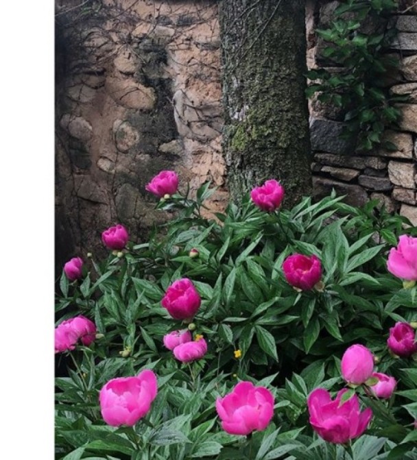 ??? SNS? ??? ?? ????…‘???? ??’