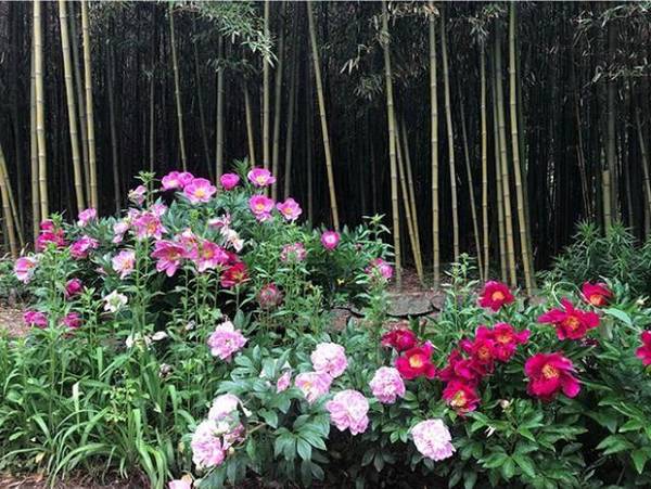 ??? SNS? ??? ?? ????…‘???? ??’