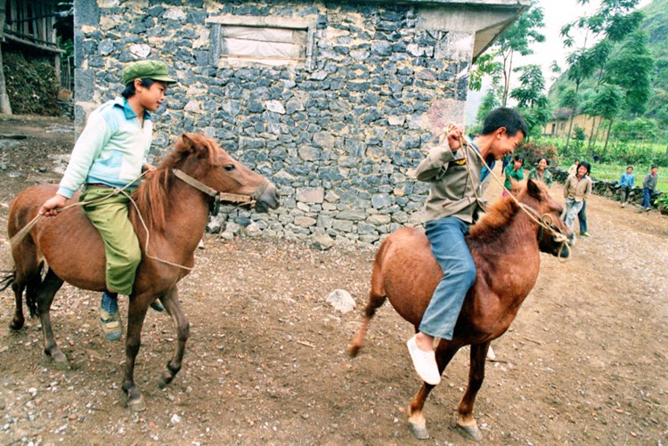 [??? ???] 40??? ????…???? ?? ??①