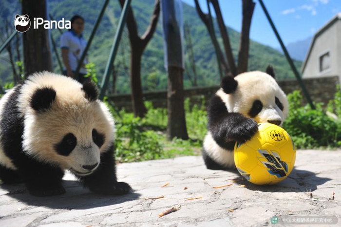 ??? ???? ???! ??? ?? ???? ???