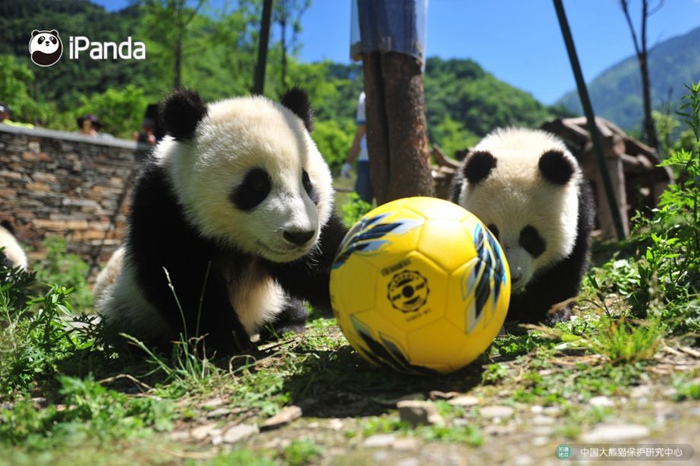 ??? ???? ???! ??? ?? ???? ???