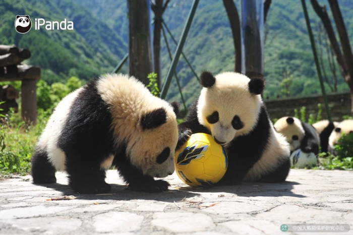 ??? ???? ???! ??? ?? ???? ???