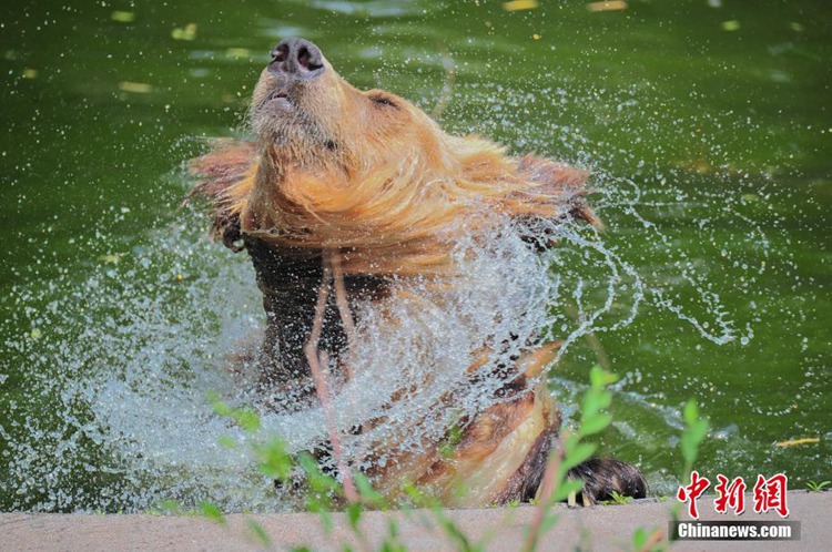 [??] ?? ?? ??? ??! ??? ???? ???