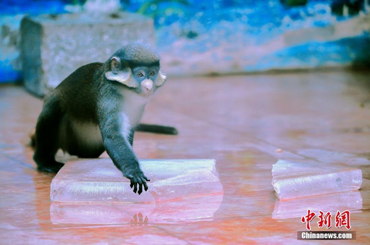 [??] ?? ?? ??? ??! ??? ???? ???