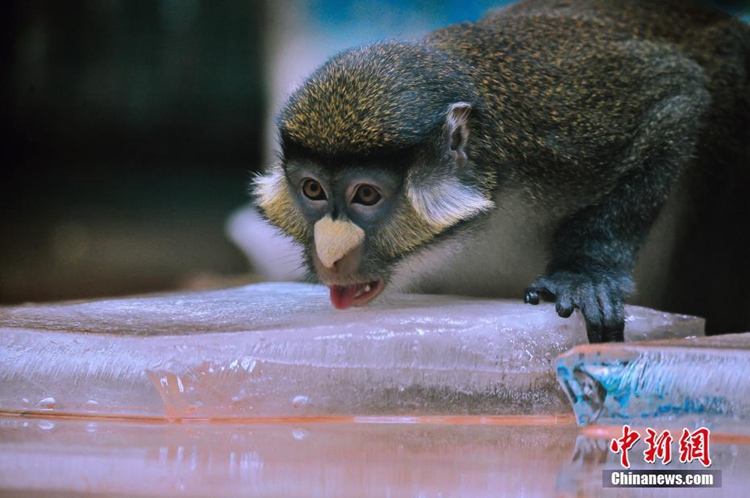 [??] ?? ?? ??? ??! ??? ???? ???