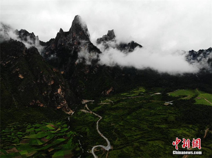 ?? ?? ?? ??? ??? ??, ‘???’