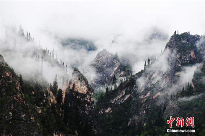 ?? ?? ?? ??? ??? ??, ‘???’