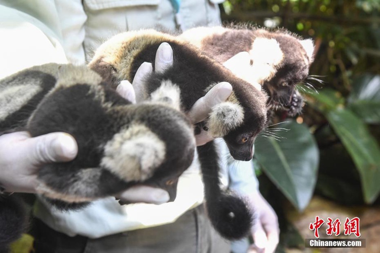 ?? ??? ?????????? ???? ? ??