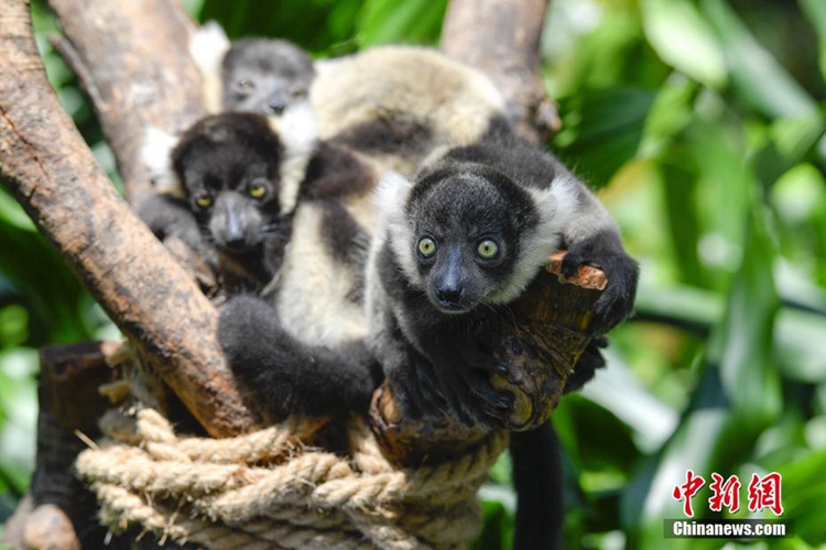 ?? ??? ?????????? ???? ? ??