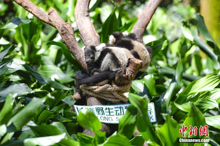 ?? ??? ?????????? ???? ? ??