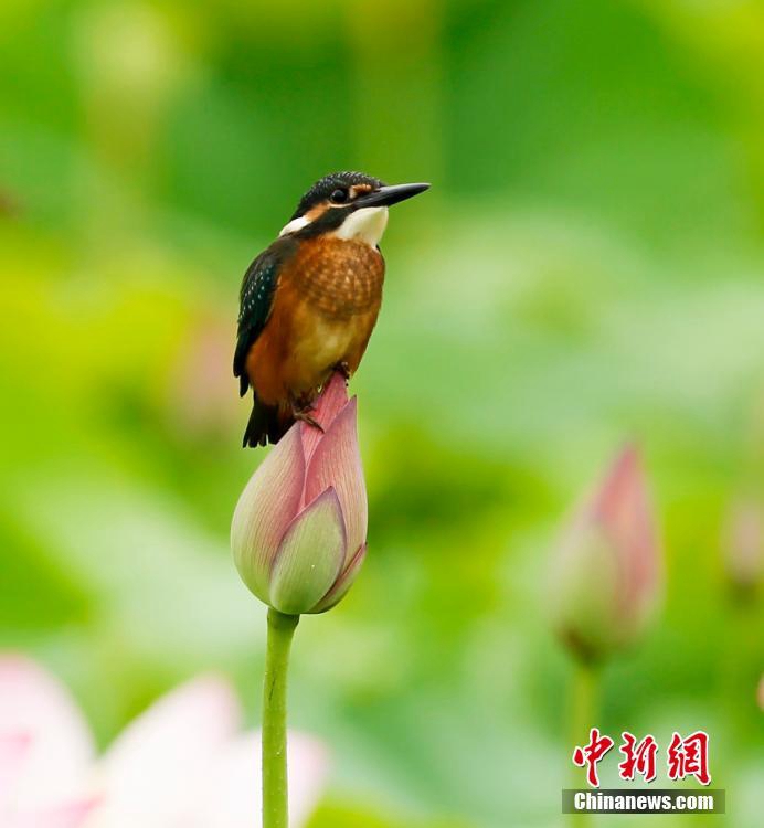 ?? ?? ?? '??? ??' ??? ??? ??