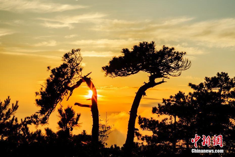 ?? ??? ???? ??? ??, ??? ??? ????