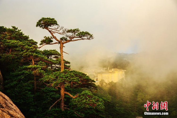 ?? ??? ???? ??? ??, ??? ??? ????