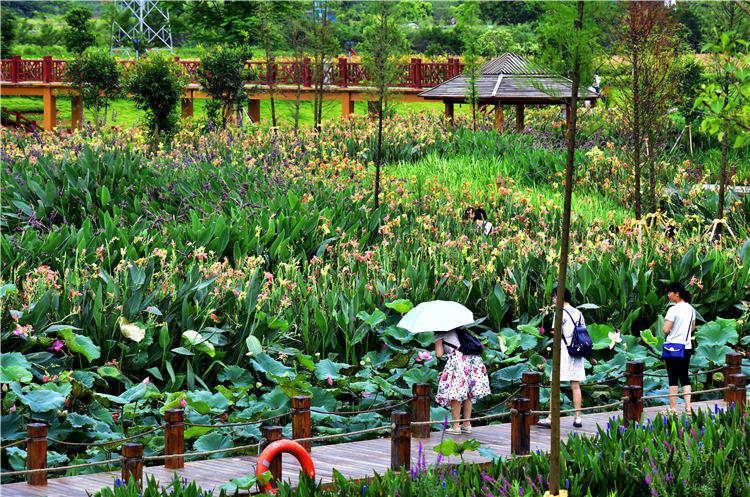 ?? ?? ?? ??, ????? ?? ?? ?? ‘74km? ??’