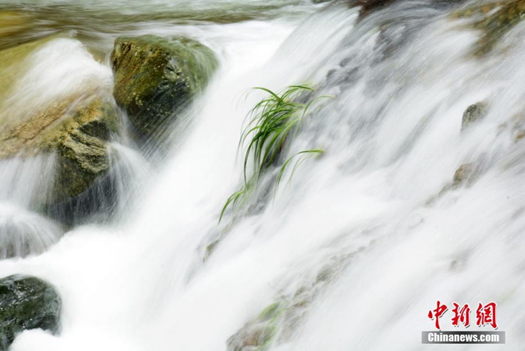 ?? ???? ???? ??? ??山, ? ? ? ??? ??