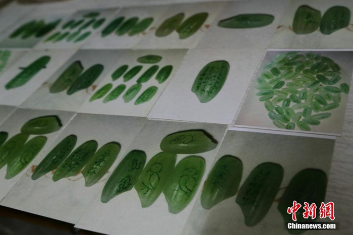 ?? 4? ?? ??(甘肅)? ??(平涼)?? ???? ????(陳金元?82)?? ??? ??? ??? ???? ??.