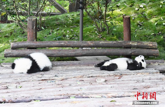 ‘??? ??’ ?? ??, ??? ??? ???