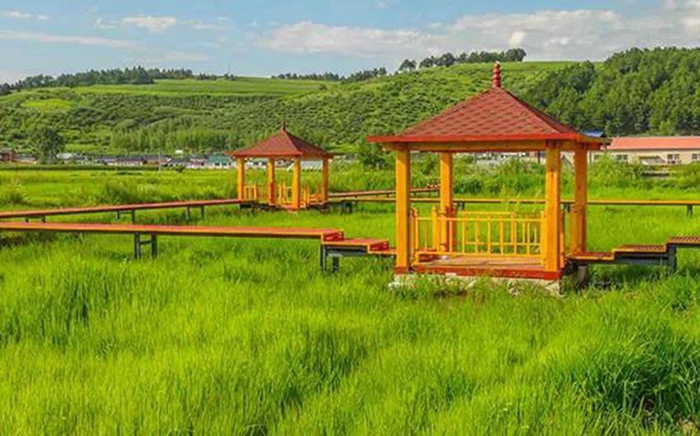 ???? ??? ?? ??? ?? ??, ?? ??? ?? ‘???’