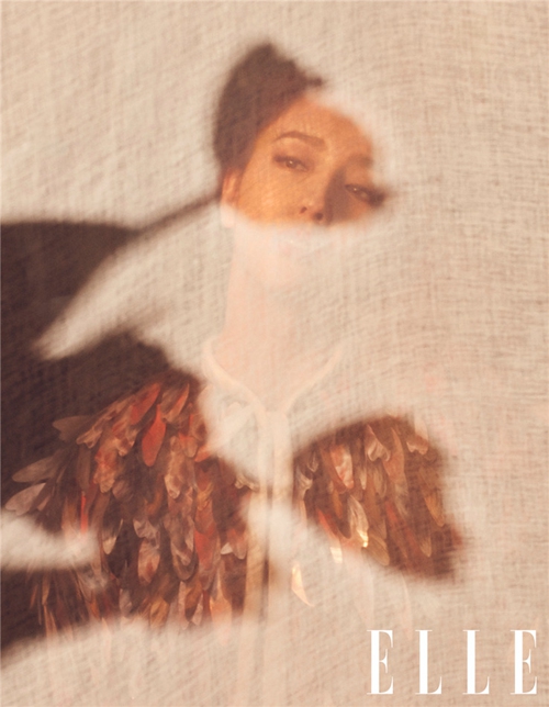 ??? ??? ?? ??, ‘???+???’ ??