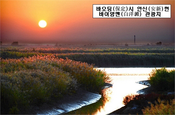 [?? ?? ????] 5A? ??? ???? ????