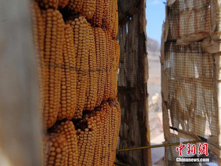 [?? ??: ?????/??: ??(劉棟)]