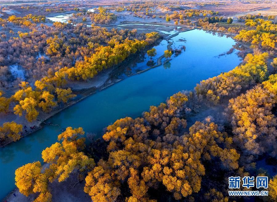 ????(內蒙古) ????(額濟納旗) ????? ???? ?? ?? [2017? 10? 13? ??: ??? ??(鄧華) ??]