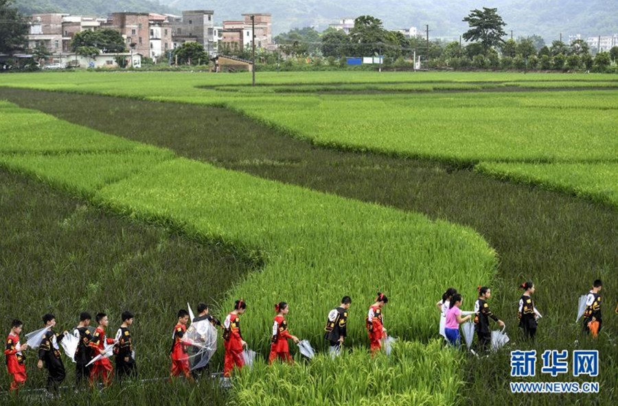 ?? 2? ????? ??(羅洪)?? ????? ???? ??.  [?? ??=???] 