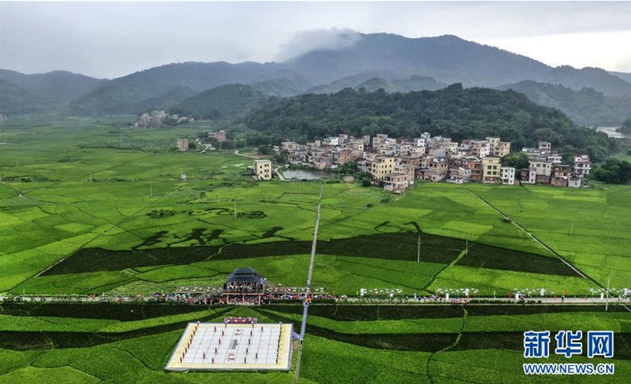 ?? 2? ???? ‘?? ???(大地棋盤)’ ??? ???? ?? ??? ??? ??. [?? ??=???] 