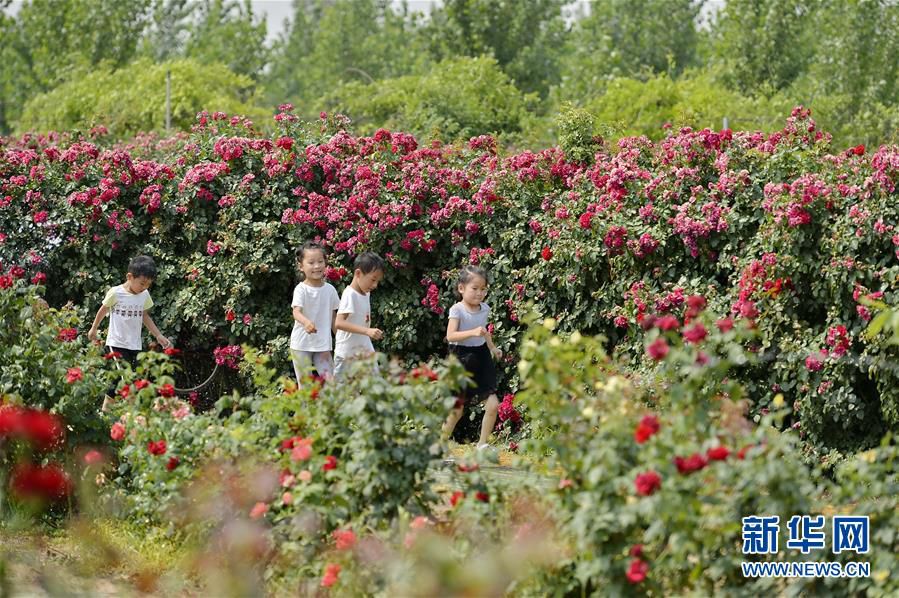 ??? ????? ???(柏鄉)? ???(柏糧)??? ‘?? ??’? ???? ??. [?? ??: ???]