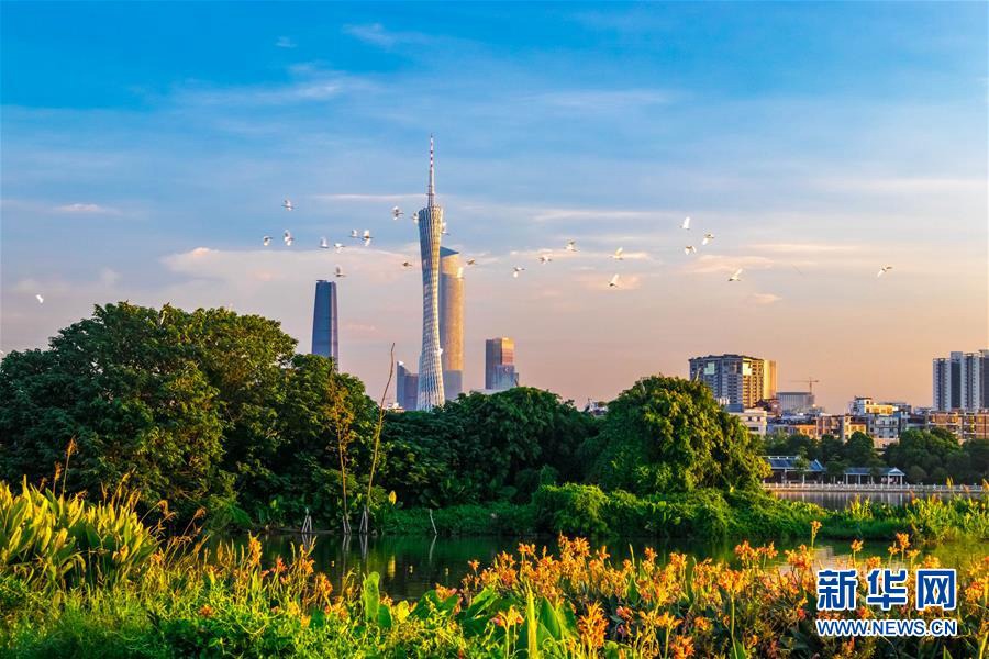 ???(廣州)? ???(海珠)? ?????(觀鳥島)? [?? ??: ???]