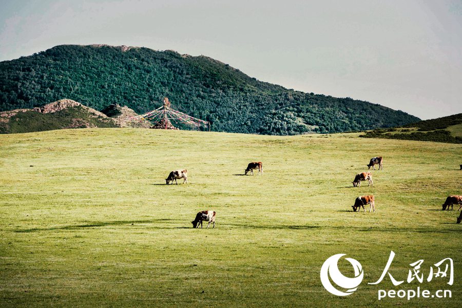 ? ?? ?? ? ???? ?? ?? ??. [?? ??: ??? ??(Tanja)]