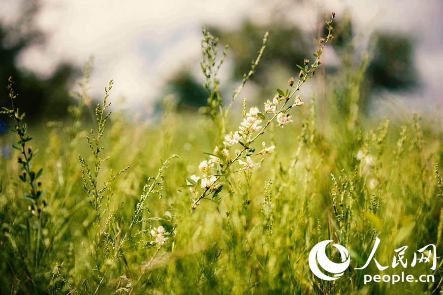 ?? ?? [?? ??: ??? ??(Tanja)]