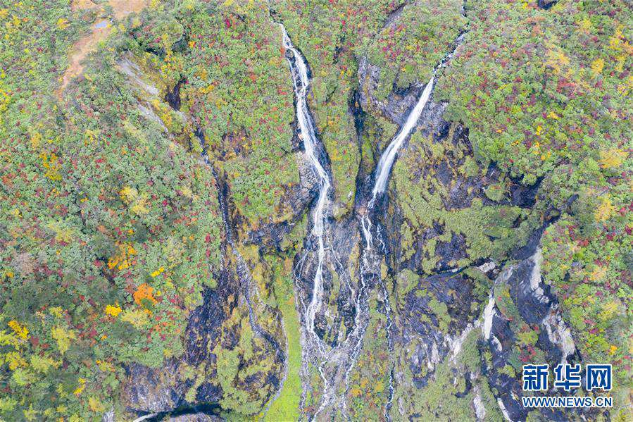 ???(派墨) ??? ?? ?? ? [?? ??: ???]