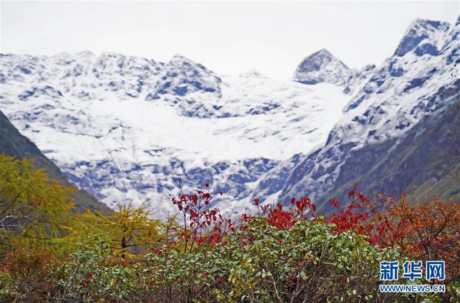 ???(派墨) ??? ?? ?? ? [?? ??: ???]