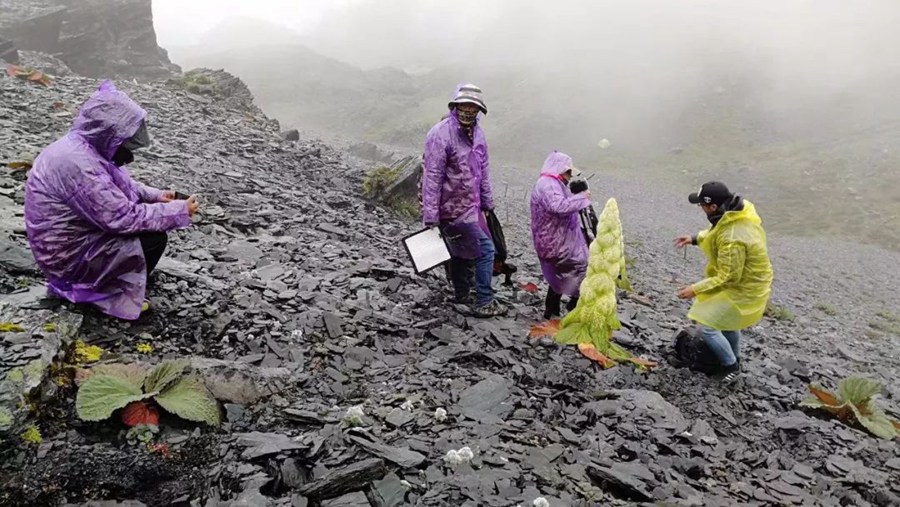 ???? ??(靑藏)???? ?? ?? ? ? ?? ??? ?? ???? ???? ??.