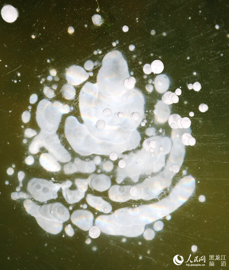 ??(漠河) ????? ?? 30??? 3000㎡ ??? ??? ?? ?? ??? ????. [?? ??: ???]