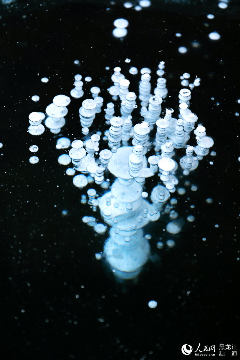 ??(漠河) ????? ?? 30??? 3000㎡ ??? ??? ?? ?? ??? ????. [?? ??: ???]