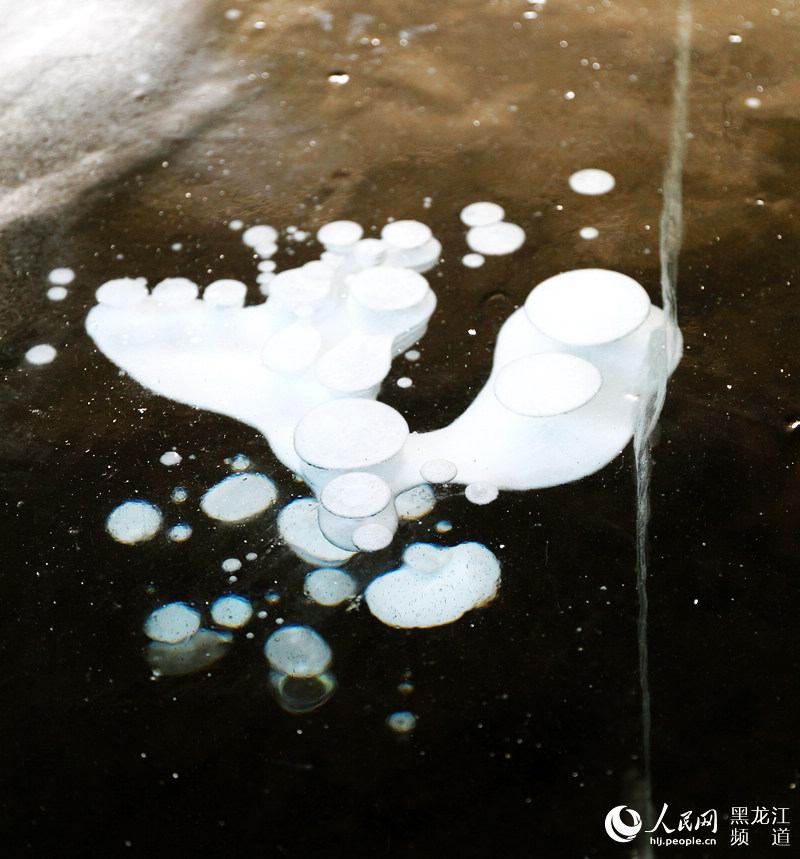 ??(漠河) ????? ?? 30??? 3000㎡ ??? ??? ?? ?? ??? ????. [?? ??: ???]