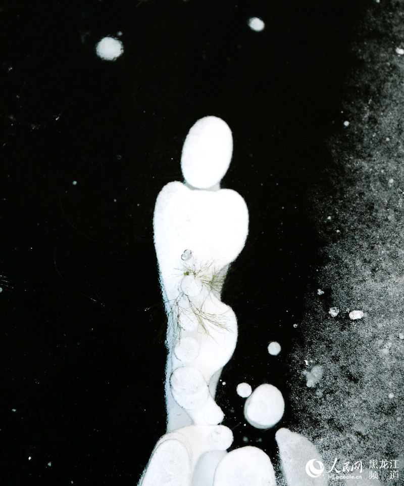 ??(漠河) ????? ?? 30??? 3000㎡ ??? ??? ?? ?? ??? ????. [?? ??: ???]