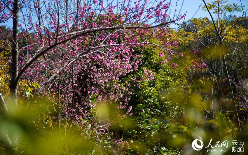 ???? ?? ???? ? ?? ?? [?? ??: ???]