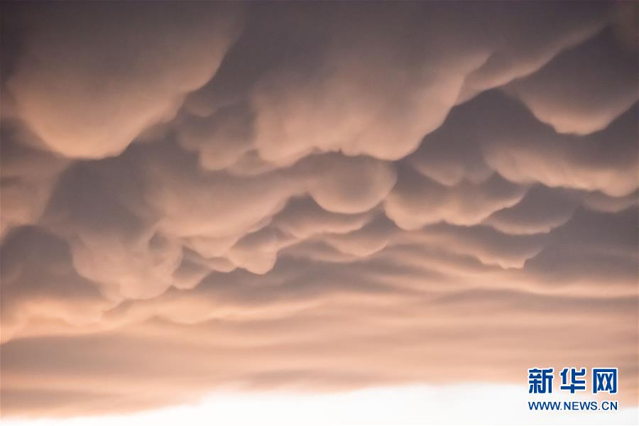 ??? ??? ??? ‘???’ [1? 6? ??/?? ??: ???]