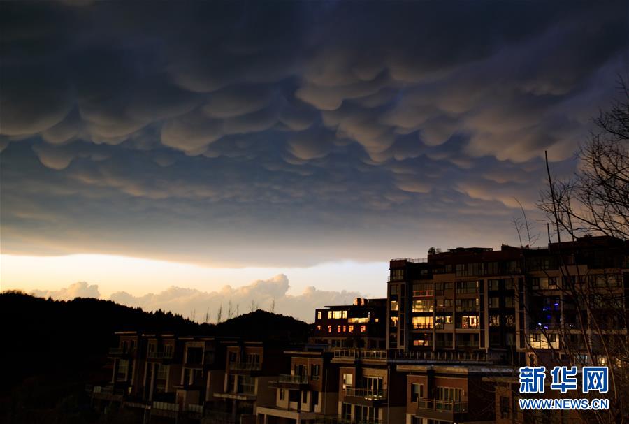 ??? ??? ??? ‘???’ [1? 6? ??/?? ??: ???]