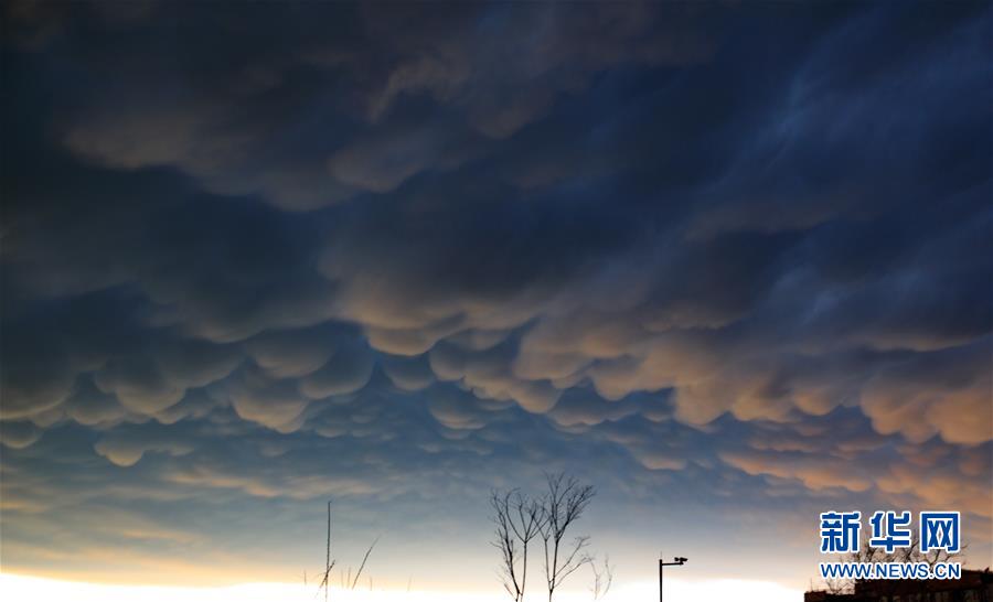 ??? ??? ??? ‘???’ [1? 6? ??/?? ??: ???]