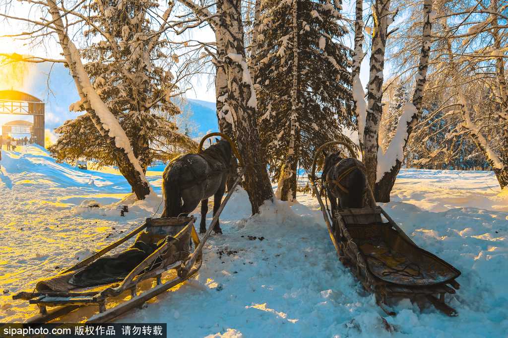 [1? 4? ??/?? ??: Sipaphoto]