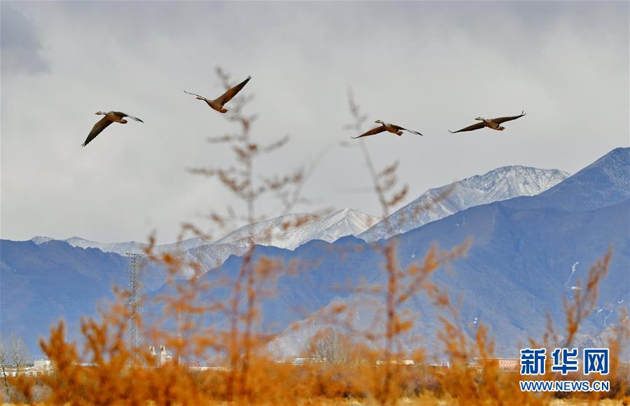 ???? ?? ???? ??? ?? ??. [2? 24? ??/?? ??: ???]