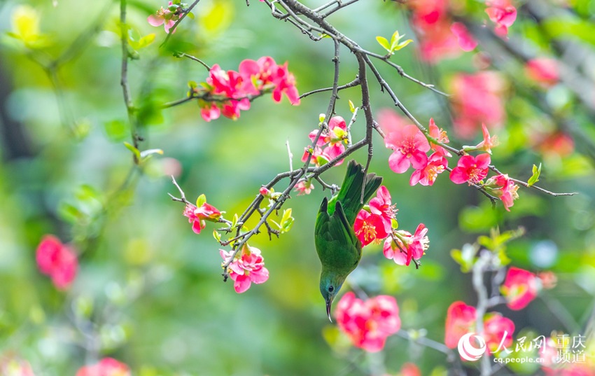 ?? ??? ??? ????? ?? ? ?? ??? ????? ?? ??. [2? 25? ??/?? ??: ???]