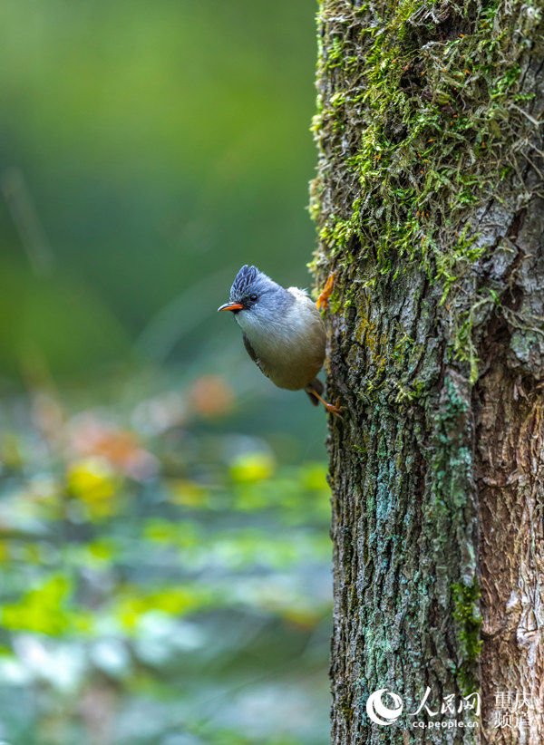 ?? ??? ??? ????? ?? ? ?? ??? ????? ?? ??. [2? 25? ??/?? ??: ???]