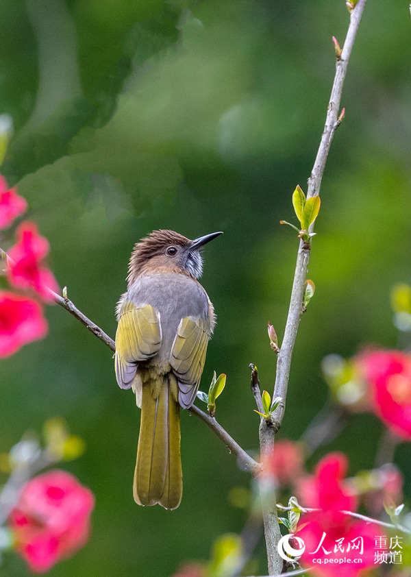 ?? ??? ??? ????? ?? ? ?? ??? ????? ?? ??. [2? 25? ??/?? ??: ???]