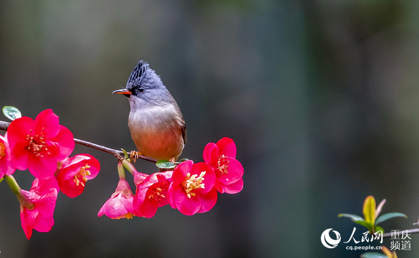 ?? ??? ??? ????? ?? ? ?? ??? ????? ?? ??. [2? 25? ??/?? ??: ???]